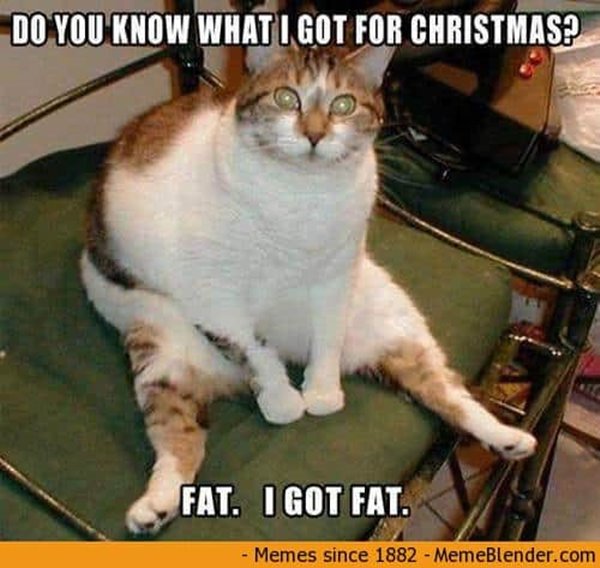do you know what i got for christmas fat i got fat funny merry memes