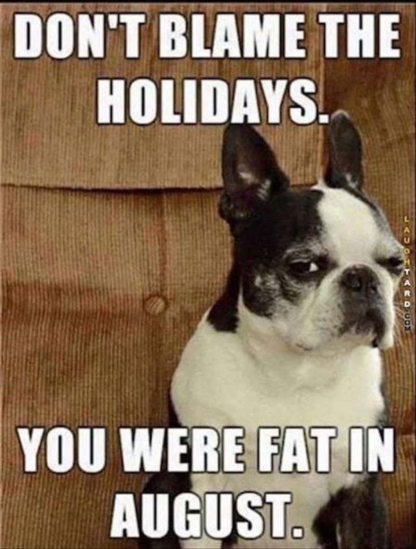 dont blame the holidays you were fat in august funny merry christmas memes
