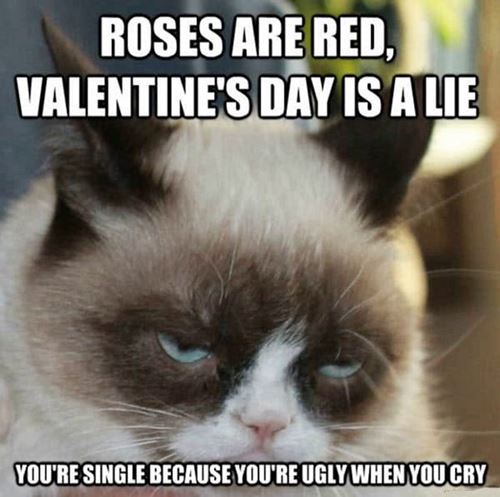 happy valentines day memes for witty Funny Valentines Day Memes To Make You Laugh