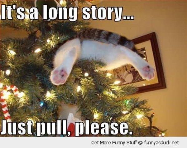its a long story just pull please funny christmas memes