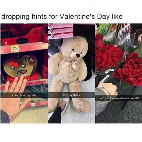valentine days cat meme for hilarious Funny Valentines Day Memes To Make You Laugh