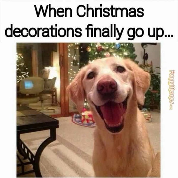 when christmas decorations finally go up funny meme