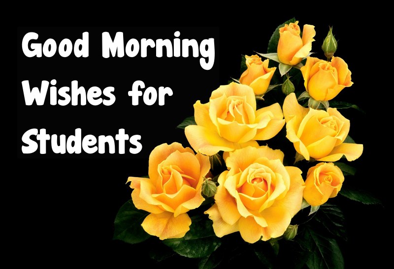 60 Inspirational Good Morning Wishes for Students and Encouraging Messages