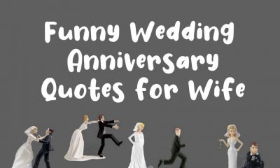 Best Funny Wedding Anniversary Quotes for Wife Happy Anniversary Wife
