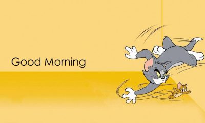 Awesome Cartoon Good Morning Images – Good Morning Pictures and Memes