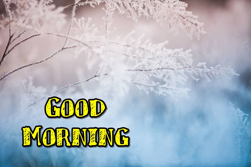 42 Best and Short Winter Good Morning Images with Beautiful Quotes