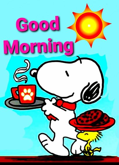 good morning gif funny cartoon and good morning cartoon character