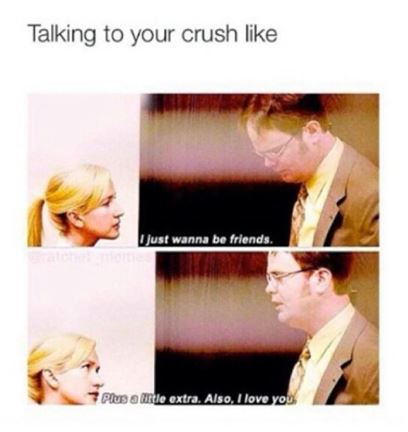 i have a crush on you meme