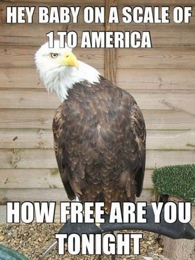 fourth of july meme funny