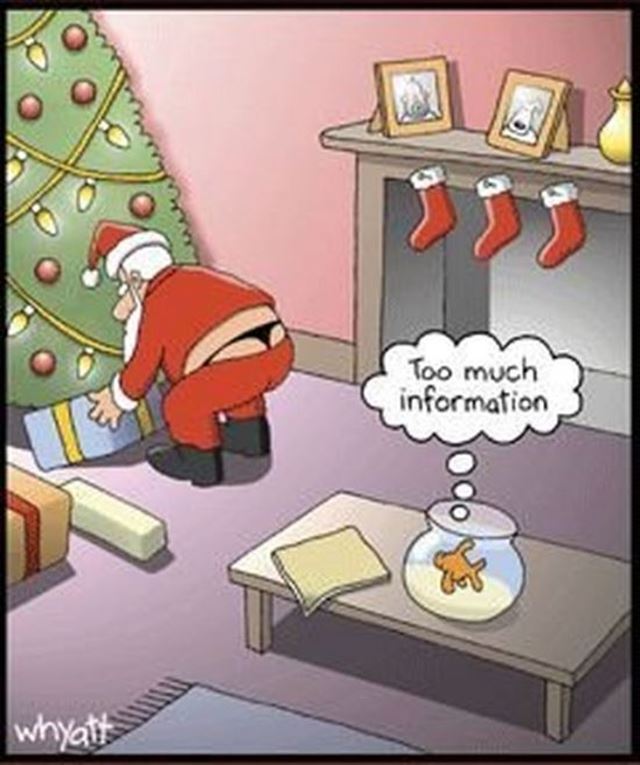 funniest christmas pictures
