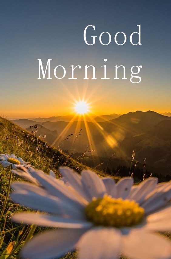 Best good morning greetings images free download