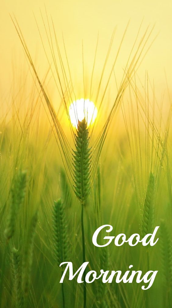 Good Morning Images with positive words