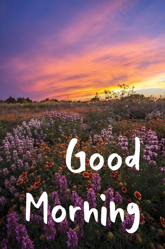 Good Morning new style