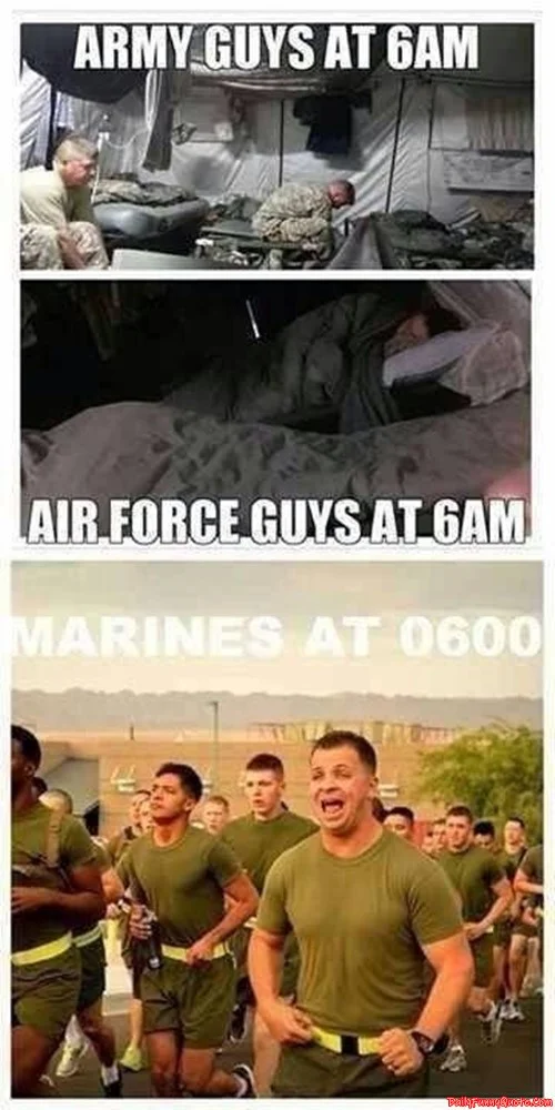 veterans day funny meme