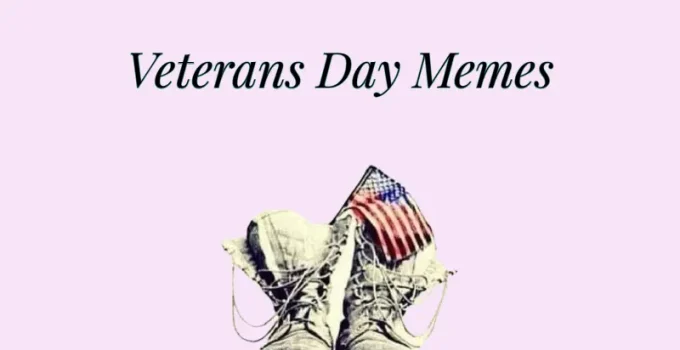 30 Veterans Day Memes