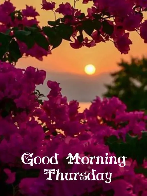 good morning thursday images - happy thursday wishes
