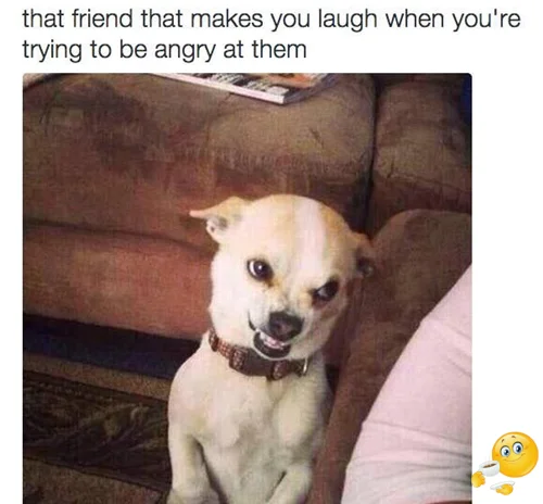 Funny Memes Laughing For Best Friends 13