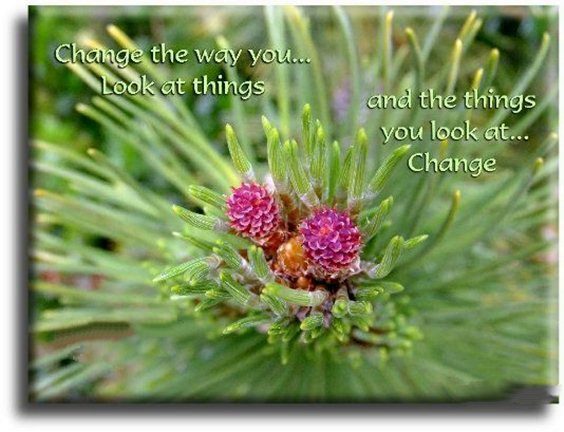 dont give up quotes images dont give up quotes images