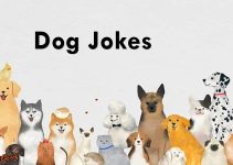 45 Hilarious Dog Jokes to Howling With Laughter