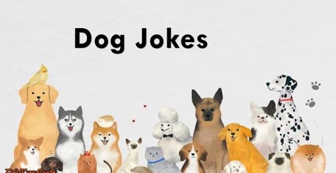 45 Hilarious Dog Jokes to Howling With Laughter