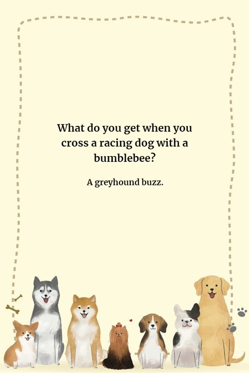 Dog Jokes