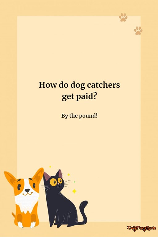 Hilarious Dog Jokes to Howling With Laughter