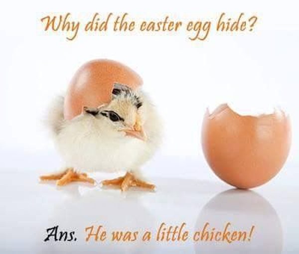cute easter memes and happy easter meme funny