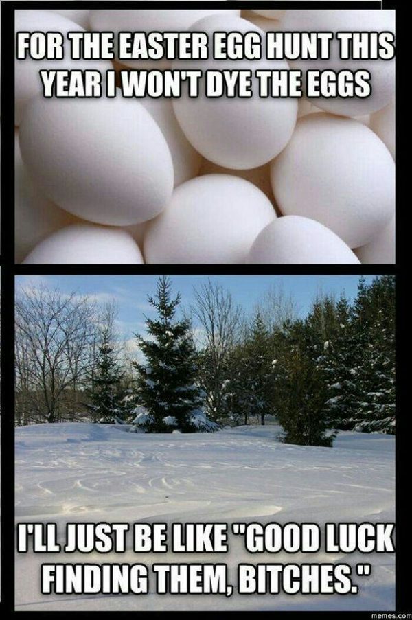 easter bunny videos funny and free easter meme