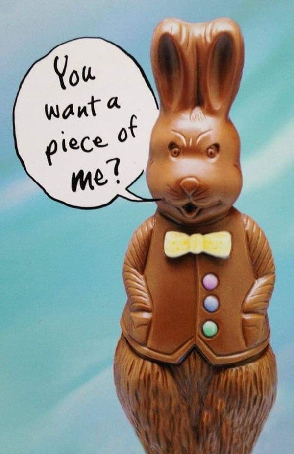 easter cat meme and happy easter memes funny