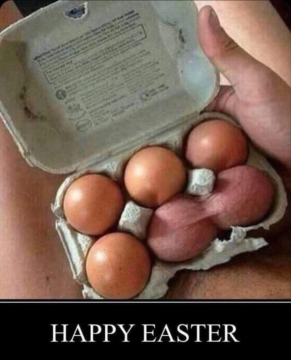 easter memes and funny easter cat memes