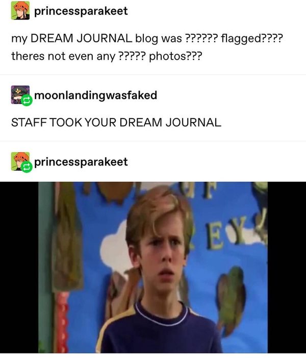 funny rabbit meme and easter memes for adults