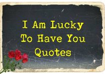 42 I Am Lucky To Have You Quotes and Messages