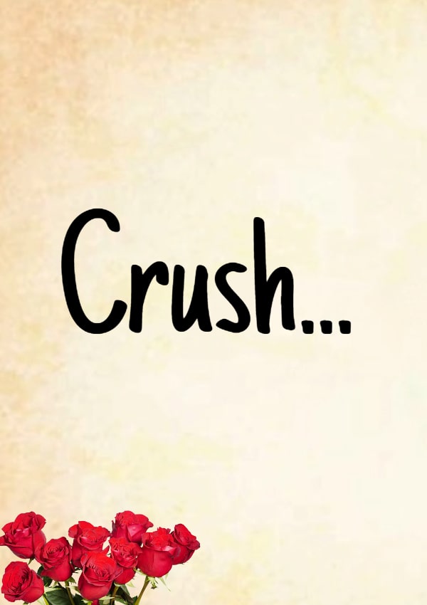 Crush Quotes Straight From The Heart For Him And Her