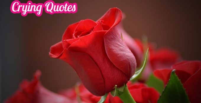 95 Crying Quotes