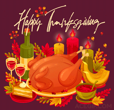 Cute turkey and shimmering stars — a magical Thanksgiving GIF blending warmth with celestial enchantment