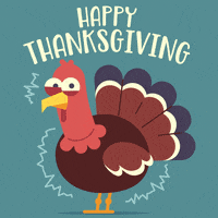 happy thanksgiving gif funny