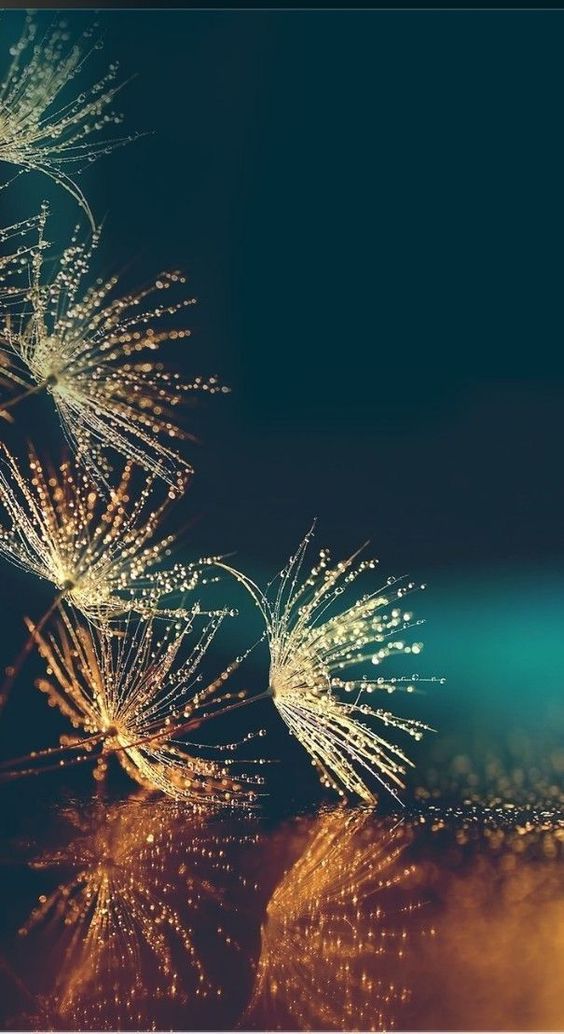 american football quotes wallpaper iphone american football quotes wallpaper iphone