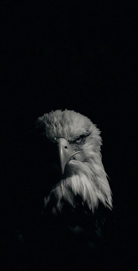 black quotes wallpaper 4k iphone black quotes wallpaper 4k iphone