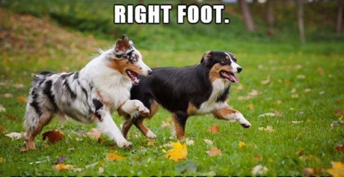 57 Encouragement Memes That Can Inspire Anybody