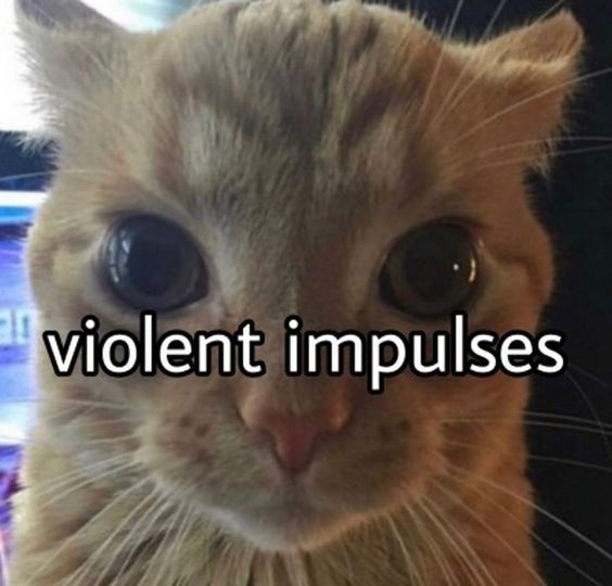 smurf cat memes smurf cat memes