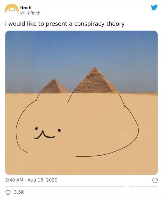 you got this cat memes you got this cat memes