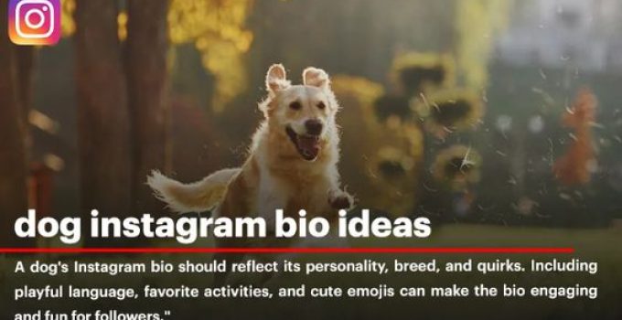 28 Funny Animal Captions ideas