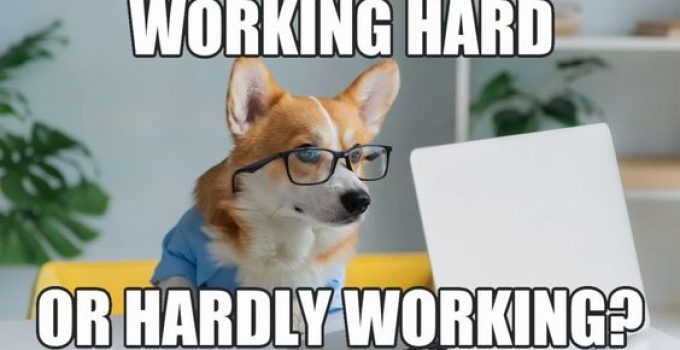 35 Hilarious Work Memes That Perfectly Capture Office Life