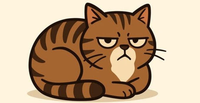 35 Hilarious Grumpy Cat Memes That Perfectly Capture Your Inner Sass