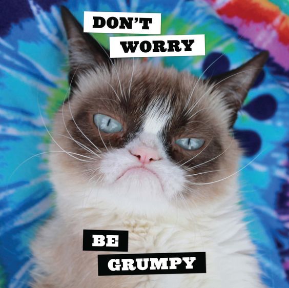 funny grumpy cat birthday memes
