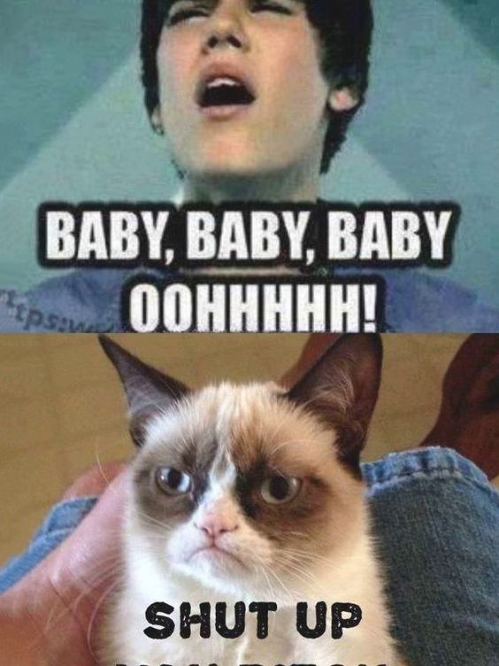 funny grumpy cat christmas memes