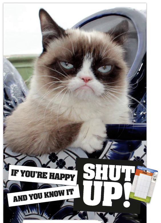 funny grumpy cat memes for kids