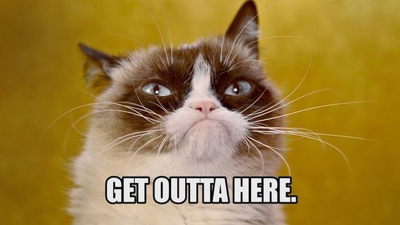 pictures of grumpy cat memes funny