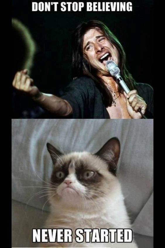 35 Hilarious Grumpy Cat Memes That Capture Your Inner Sass 
