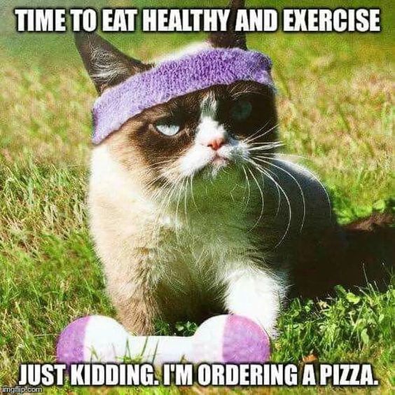 when did grumpy cat become a meme